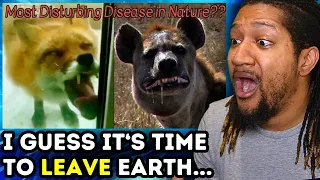 Terrifying Animal Diseases Straight Out of a Horror Movie! (Casual Geographic Reaction)