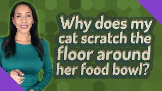 Why does my cat scratch the floor around her food bowl?