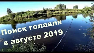 Разведка новых мест. Рыбалка на голавля и жереха. Август 2019. Ультралайт спиннинг