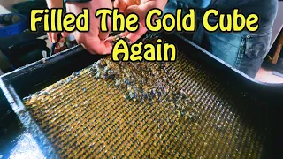 Gold Clean Out Day From Claim 56 Nome, Alaska