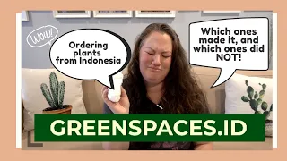 I RECEIVED PLANT MAIL! | Greenspaces.ID Plant Unboxing | Indonesia
