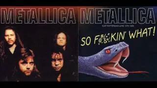 Metallica - Of Wolf and Man (Rotterdam De Kuip 12-06-1993)