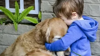 The boy was saying goodbye to the dog. But something happened that made the parents shudder