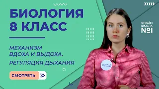 Механизм вдоха и выдоха. Регуляция дыхания. Видеоурок 19. Биология 8 класс