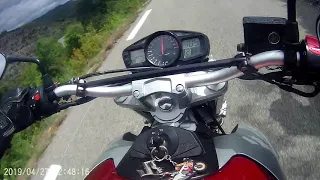 Honda 600 Hornet VS Suzuki 600 GSR