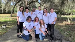 My Maximilian Schnauzers Care Team