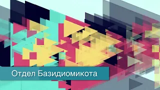 "Отдел Базидиомикота", Биология 7 класс, Сивоглазов