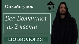 Все задания по БОТАНИКЕ из 2 части экзамена |ЕГЭ Биология| Freedom bio