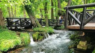 VRELO ✨️ REKA ✨️ GODINA ✨️ PERUCAC #vrelo #river #tara #drina #srbija #pastrmka