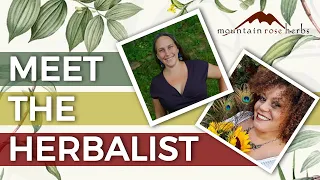 Ancestral Herbalism with Lucretia VanDyke | An Interview by Bevin Clare
