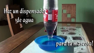 Como Hacer un dispensador de agua para tu mascota