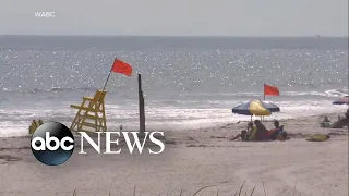 Shark sighting shuts down Long Island beach l WNT