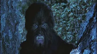 Werewolf vs. The Vampire Woman Blu-ray from Vinegar Syndrome