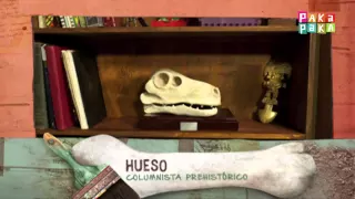 El show prehistórico: Un dino con nombre propio - Canal Pakapaka