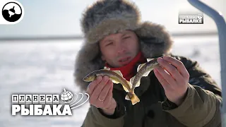 Навага. Зимняя рыбалка. Северодвинск | Планета рыбака