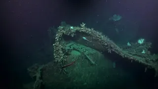 Wreckage of the USS Laffey (DD-459) Surveyed by R/V Petrel