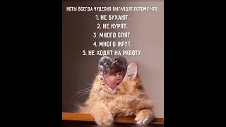 Улыбнись -ка😃😃😃