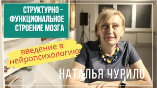 Лекция 1: Структурно-функциональное строение мозга | Введение в нейропсихологию. Наталья Чурило.