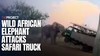 Wild African Elephant Attacks Safari Truck