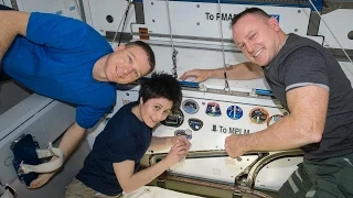 Space Station Live: Opening Up the Neurocognitive Toolkit