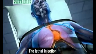 ¿Cómo funciona la Inyección letal?