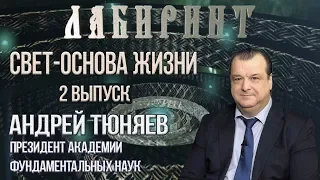 НУМЕРОЛОГИЯ | ЛАБИРИНТ | Свет-основа жизни | А. Тюняев & Джули По | Выпуск 2