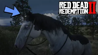 Самая редкая КРАСИВАЯ лошадь в RDR2 | Пейнтхорс СПЛЭШ-УАЙТ