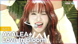 [Simply K-Pop CON-TOUR] ILY:1 (아일리원) - AZALEA+Love In Bloom (사랑아, 피어라) ★Simply's Spotlight★ _ Ep.514