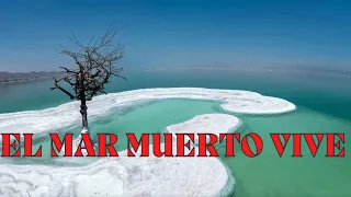 GARY LEE ft. ALFREDO LEVIN, 🚨 ALERTA ROJA🚨ALERTA ROJA 🚨 MILAGRO PROFÉTICO; EL MAR MUERTO VIVE!