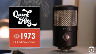 Quick Hits: Soyuz Microphones 1973 | FET Condenser Microphone