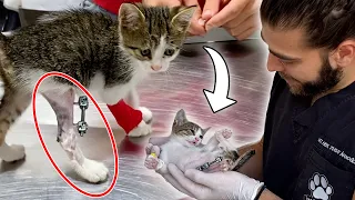 Stray Kitten with Broken Leg! (We saved her leg! ) #TheVet