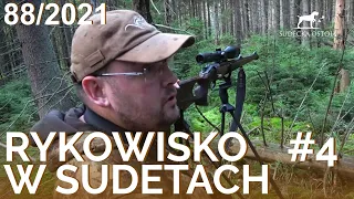 SUDECKA OSTOJA 88/2021. Deer Hunting in Poland