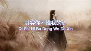 其实你不懂我的心 Qi Shi Ni Bu Dong Wo De Xin