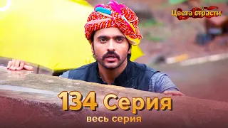 Цвета Страсти Индийский сериал 134 Серия | Русский Дубляж