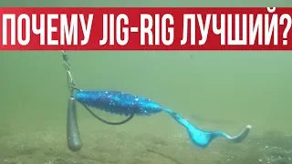 JIG RIG - Лучший монтаж для осени? БЕЗУСЛОВНО! Подробно разбираем оснастку | Рыбалка с Fishingsib