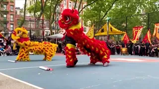 New York Dragon Lion Day Festival