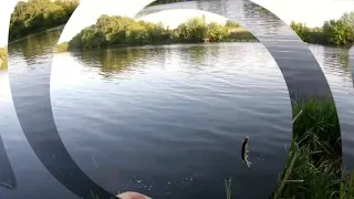 Рыбалка на реке Сосна