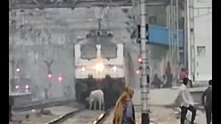 LIVE ACCIDENT CAUGHT ON CAMERA, MUMBAI TEJAS RAJDHANI HITS A COW IN PALWAL