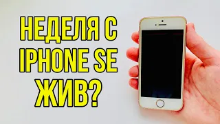 НЕДЕЛЯ С iPhone SE. ЖИВ?