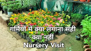 मई महीने में नर्सरी की सैर / Nursery Visit / गर्मियों में क्या लगाना सही क्या नहीं