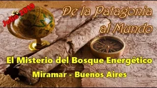 El misterioso Bosque Energético de Miramar