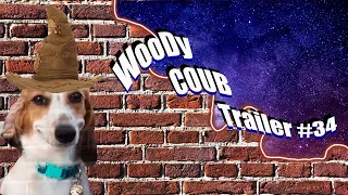 WooDy COUB Trailer #34  | Best COUB of Week | anime amv / gif / mycoubs / аниме / mega coub #Shorts