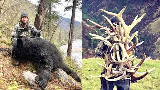 Black Bear and Elk Shed HEAVEN!!! | S7E4 | Limitless Outdoors