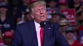 Trump singing "I will survive"