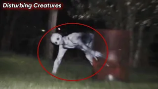 Mega Compilation of Disturbing Trail Cam Footage 2023