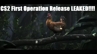 CS2 FIRST OPERATION LEAKED