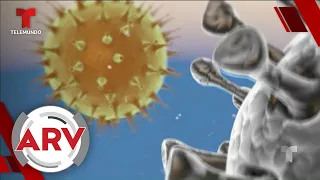 Coronavirus: Revelan las 3 fases del virus que ataca a cada persona de manera diferente
