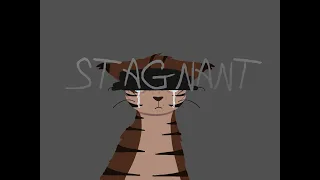 -STAGNANT- Warriors PMV 2024 RE-MAKE- 1 Year Improvement Project