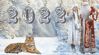Скоро год Тигра! ПРОЕКТ в ProShow Producer  "С Новым 2022 годом!