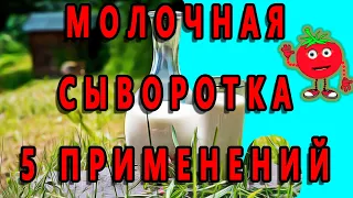 МОЛОЧНАЯ СЫВОРОТКА! 5 ПРИМЕНЕНИЙ